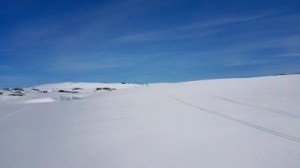 ski (1)